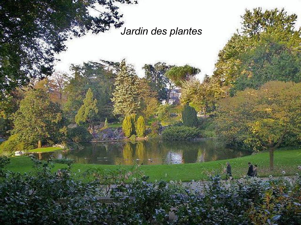 149 ANGERS MAINE ET LOIRE_000007.jpg